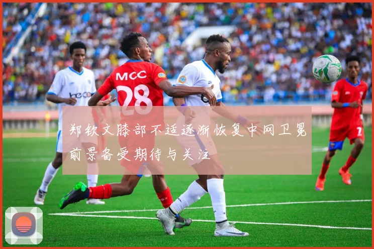 郑钦文膝部不适逐渐恢复中网卫冕前景备受期待与关注