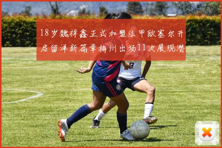 18岁魏祥鑫正式加盟法甲欧塞尔开启留洋新篇章梅州出场11次展现潜力